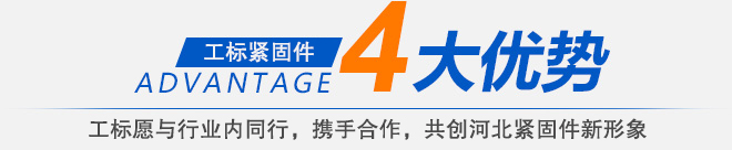 高強(qiáng)度螺栓,鋼結(jié)構(gòu)螺栓
